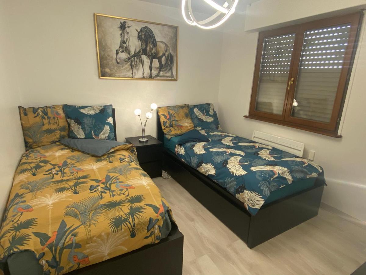 Mallo'S Lodge Avec Parking Gratuit Et 2 Balcons Colmar Exterior foto